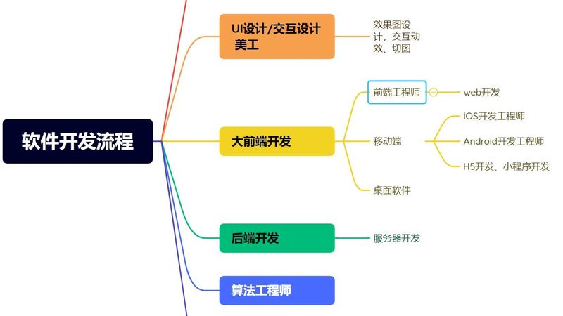 初创企业自研软件：风险与应对策略